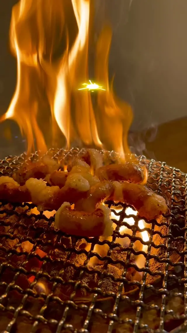 熊本市帯山で焼肉ホルモン食べるなら？焼肉ホルモン恵比寿です！