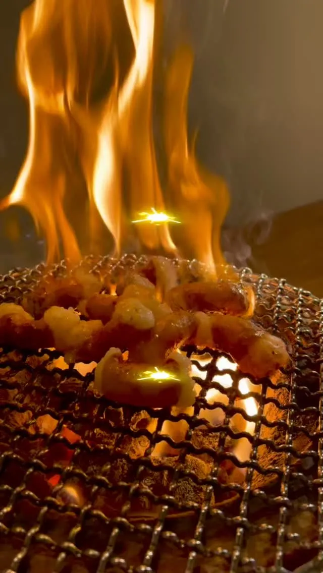 熊本市帯山で焼肉ホルモン食べるなら恵比寿！